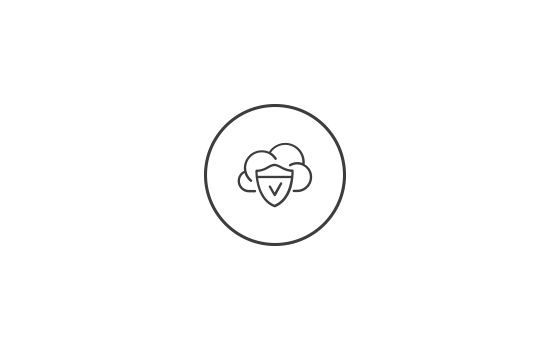 airview-privacy-icon